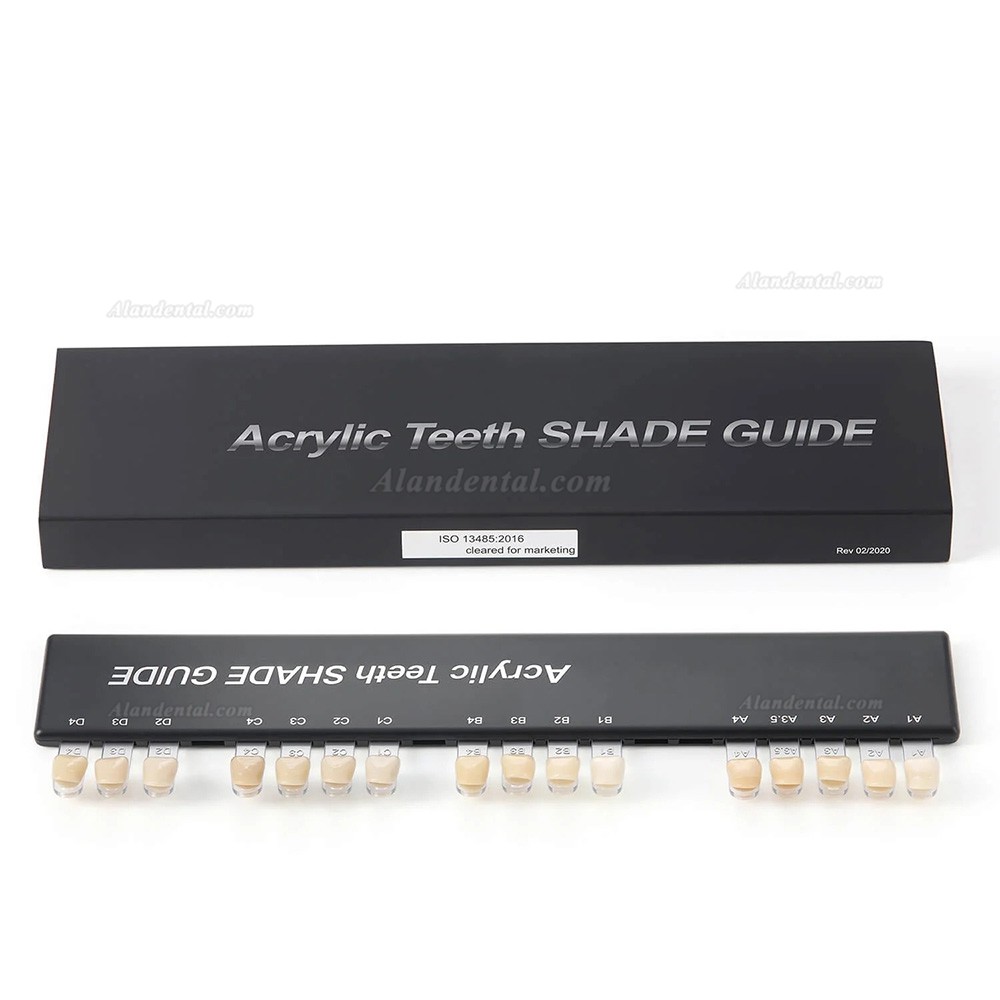 Dental Acrylic Teeth Shade Guide Bleached Teeth Guide 2-Layer 16 Shade